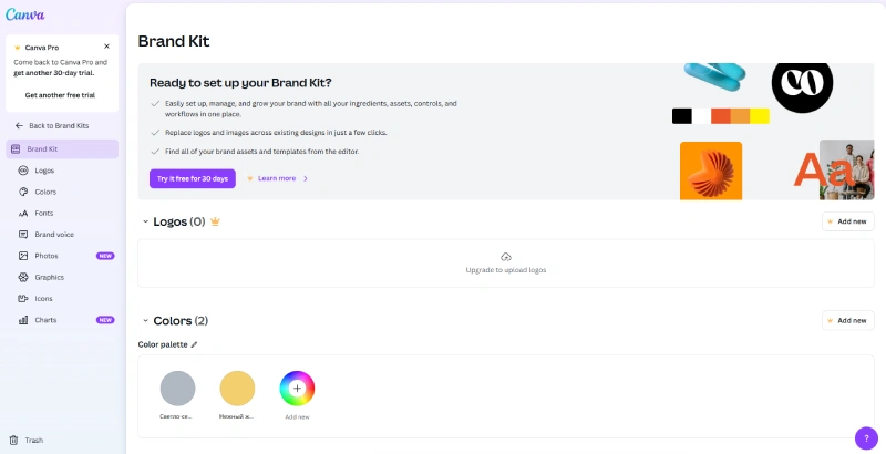 Canva brand kit