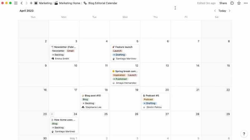 Notion calendar view